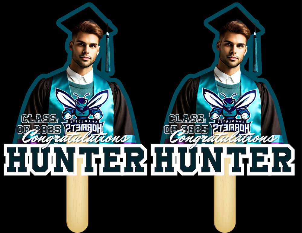 Copy of EZPZ Charlotte Hornet - Fan