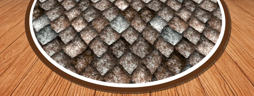 Copy of How to train your Dragon - Floor Wrap (1)